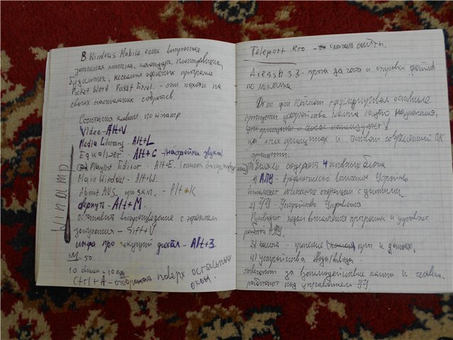 as018.radikal.ru_i501_1210_e0_d2841bd66c33.jpg