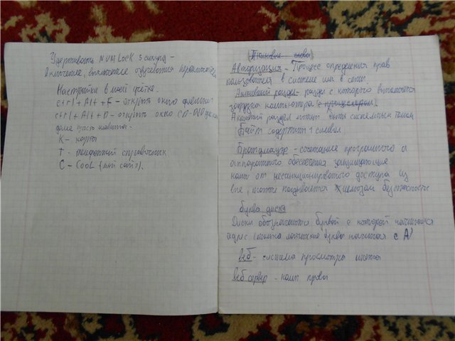 as014.radikal.ru_i327_1210_0d_f4901e05c7cb.jpg