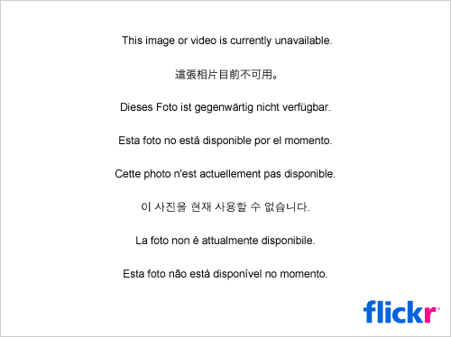 afarm8.staticflickr.com_7233_7182839729_de4579fb58.gif