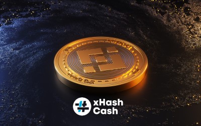 ai.ibb.co_tYWg08W_Binance_Coin_BNB.jpg