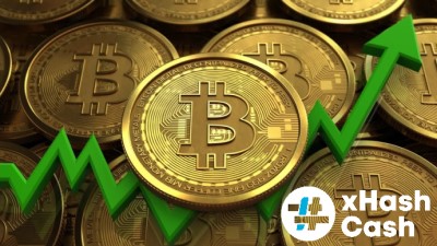 ai.ibb.co_kQwPdt6_BTC.jpg