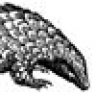 pangolin