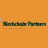 blockchain partners